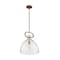 Nuvo Fixture, Pendant, 1-Light, Incandescent, 100W, 120V, A19, Medium Base, Height: 16.50 60/7142 - alternate 1